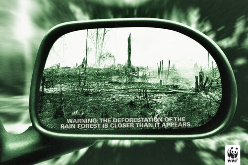 WWF — Campanhas de Conscientização — peça 1